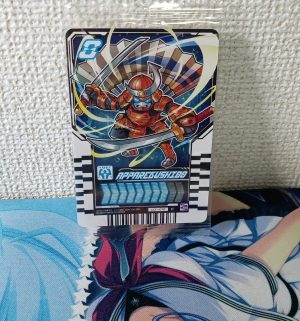 Apparebushido CD1-010 C